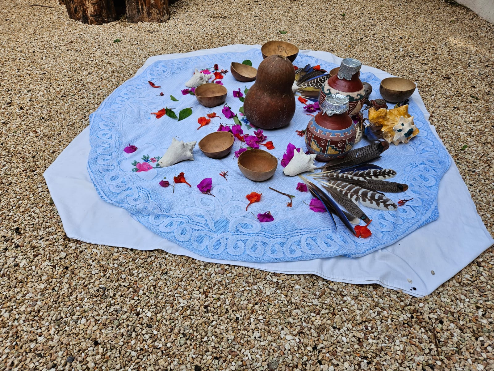 Temazcal selva