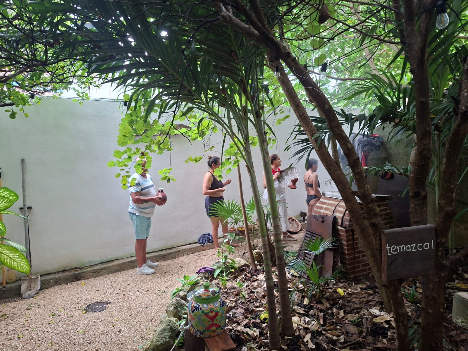 Temazcal hierbas