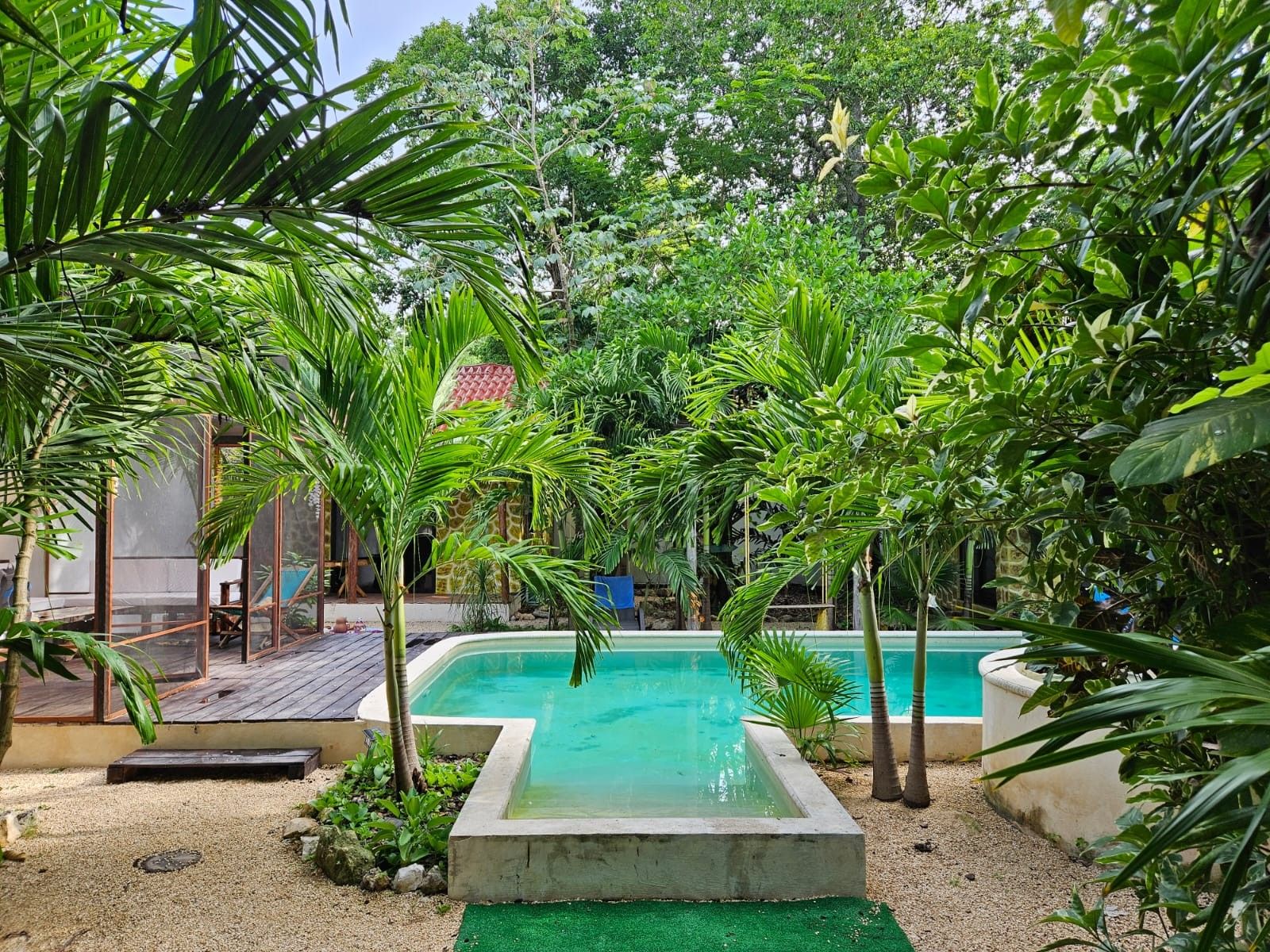 Jacuzzi entre palmeras
