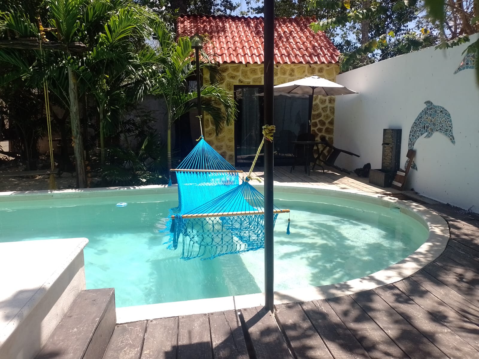 Piscina entre la selva